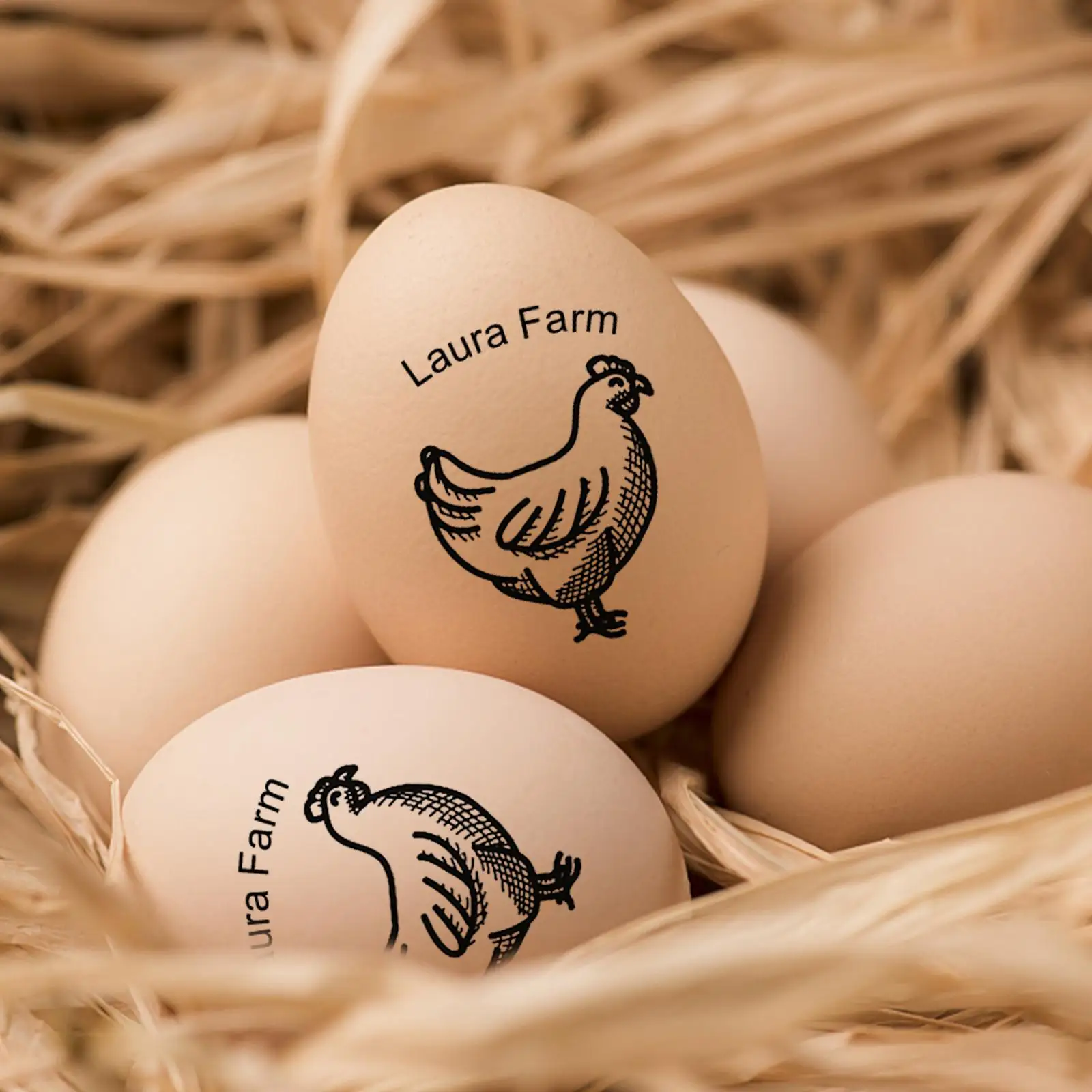 Customized Chicken fresh Egg Labels Stamp- egg Carton Stamp Date