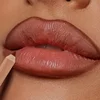 1pc Matte Lipstick & Liner Pen, Waterproof, Long-Lasting, Non-Stick, Berry Shades for All Skin Types, Makeup Pencils for Women 1
