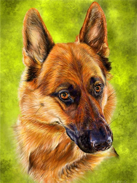 Embout Lumineux LED Pour Bouteille - Lampe De Table, Dimmable, Tactile, Rechargeable USB - 3 Températures De Couleur