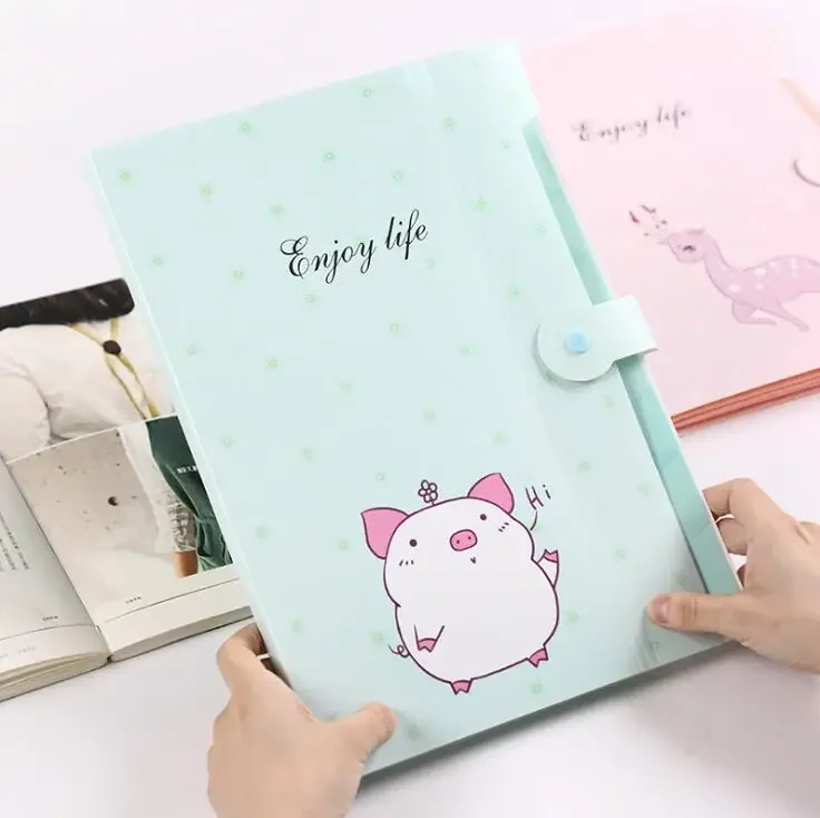 Cute Plastic A4 File Folders 5 Pockets Office Expanding Document Stationery Organizer with Button Closure School Supplies file bag