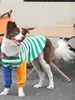 Fall Season Dog Sweatirt Pet Clothing Golden Retriever Samoyed Color Blo Patchwork Trendy Brand Dog Sweater 2