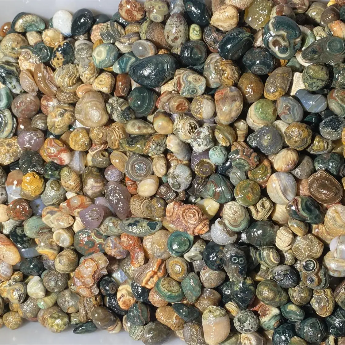 1kg/lot Rare Colorful Eye Stone Gobi Agate Non-Porous Bulk Rough Collectibles Miraculous strong energy amulet