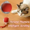 Hot intelligent interactive cat ball long-lasting and durable easy to clean intelligent obstacle avoidance pet dog toys 3