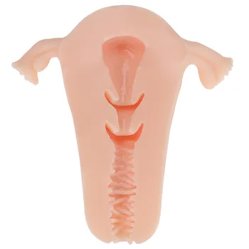 Real Vagina Masturbation Male Uterus Device Masturbation Cup Simulation Design Pocket Pussy Breast Ball Adult Sex Toys for Man 6