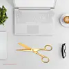 Golden Stainless Steel Sewing Scissors, Embroidery Tailor Scissors, Fabric Cutting, DIY, Stationery Accessories 2