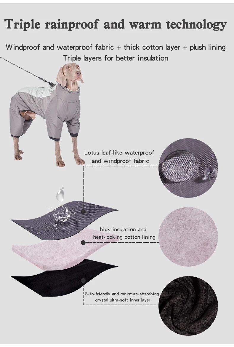 Winterliche Hundebekleidung mit verstellbaren Details und verschiedenen Mantelstilen.