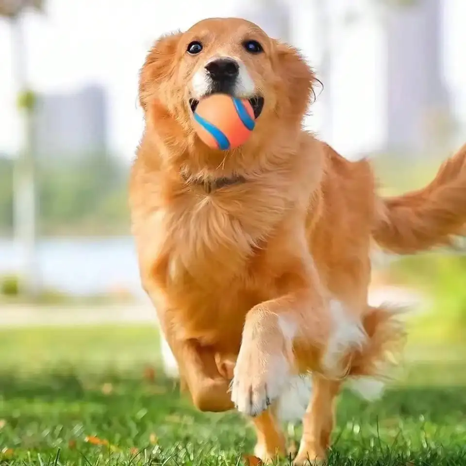 Durable Dog Fetch Ball for Interactive Play