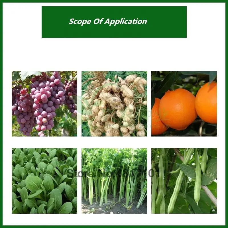 Plant Fertilizer Powder 15g Efficient instant boron fertilizer Single Trace element Plant Food Increase Growth Fruit Output Crop Farm Vegetable