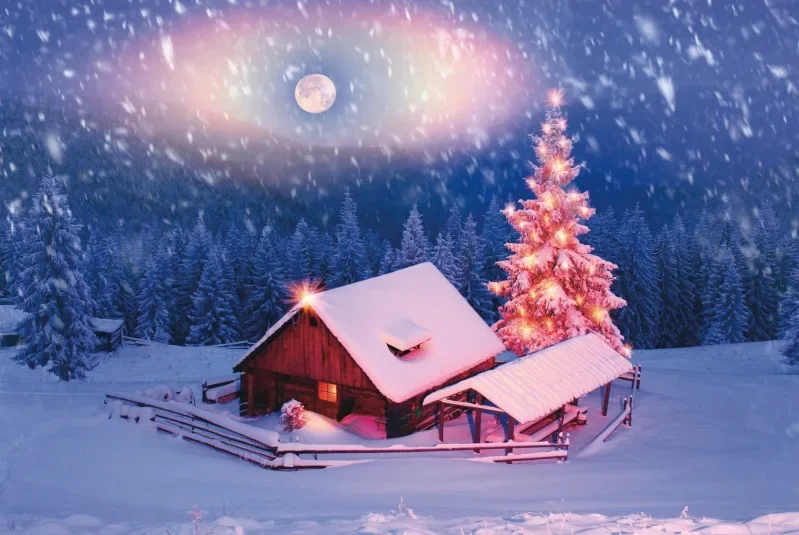 C-013 Snow