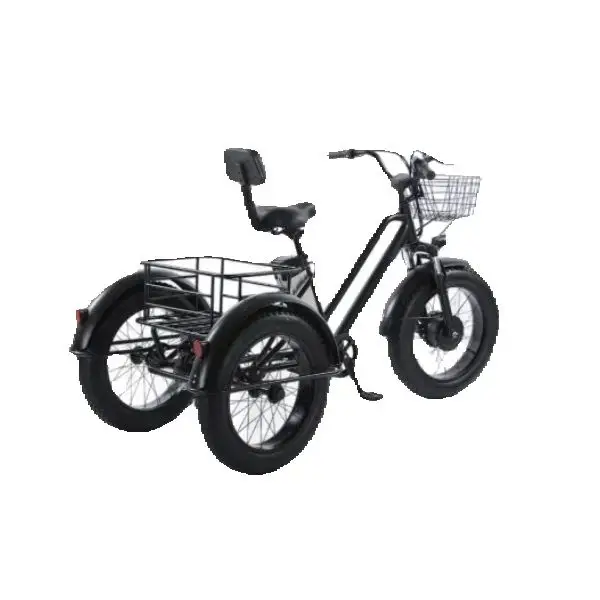 Tricycle Électrique Adulte 500W 48V 20" – Porteur, Panier, Autonomie 50 Km