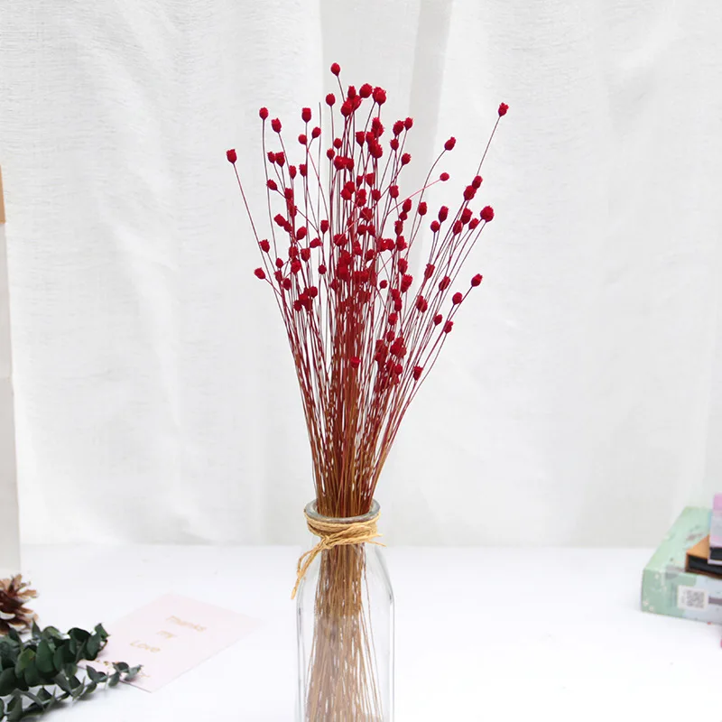 30x Dried FLOWER Pressed Bunch of Flowers with Branches Dried Floral Home Decor 