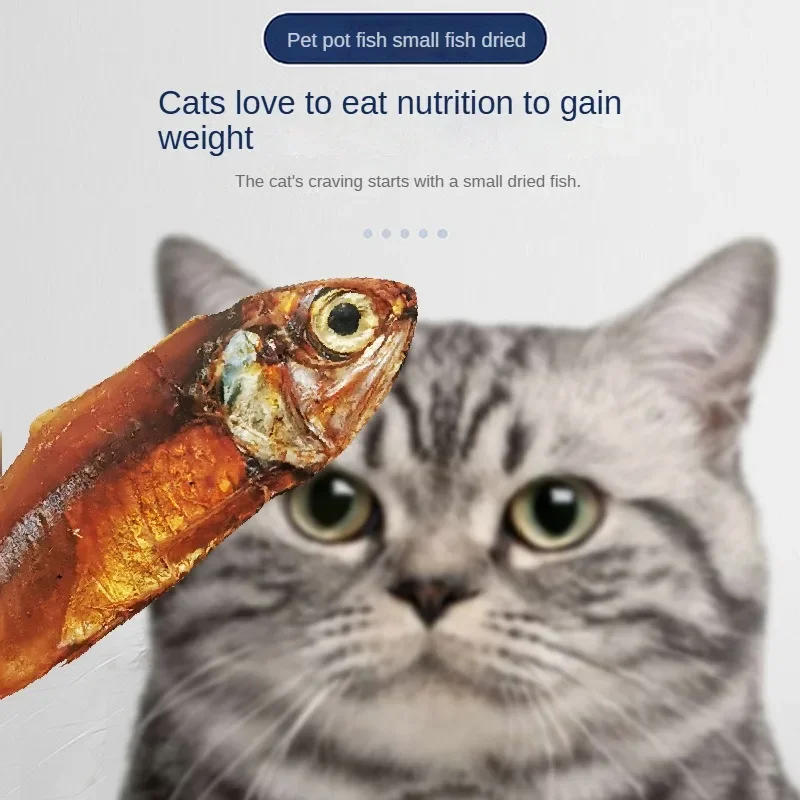 Freeze-Dried Fish Pet Snacks 5