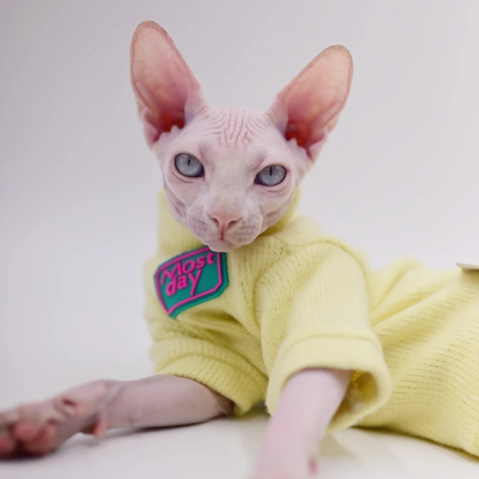Roupinha Para Gatos Sphynx - Camiseta Dinossauro QBLEEV