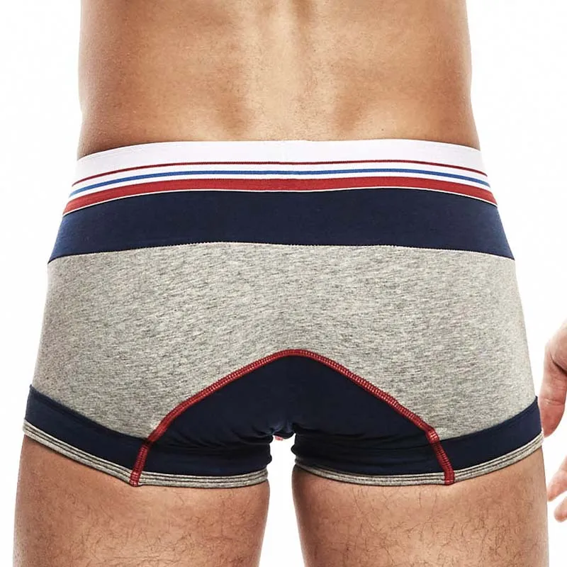 Brand Mens Boxers Underwear Sexy Bulge Penis Pouch Man Panties Breathable Low Waist Men Boxer Shorts Calzoncillos Para Hombre 2