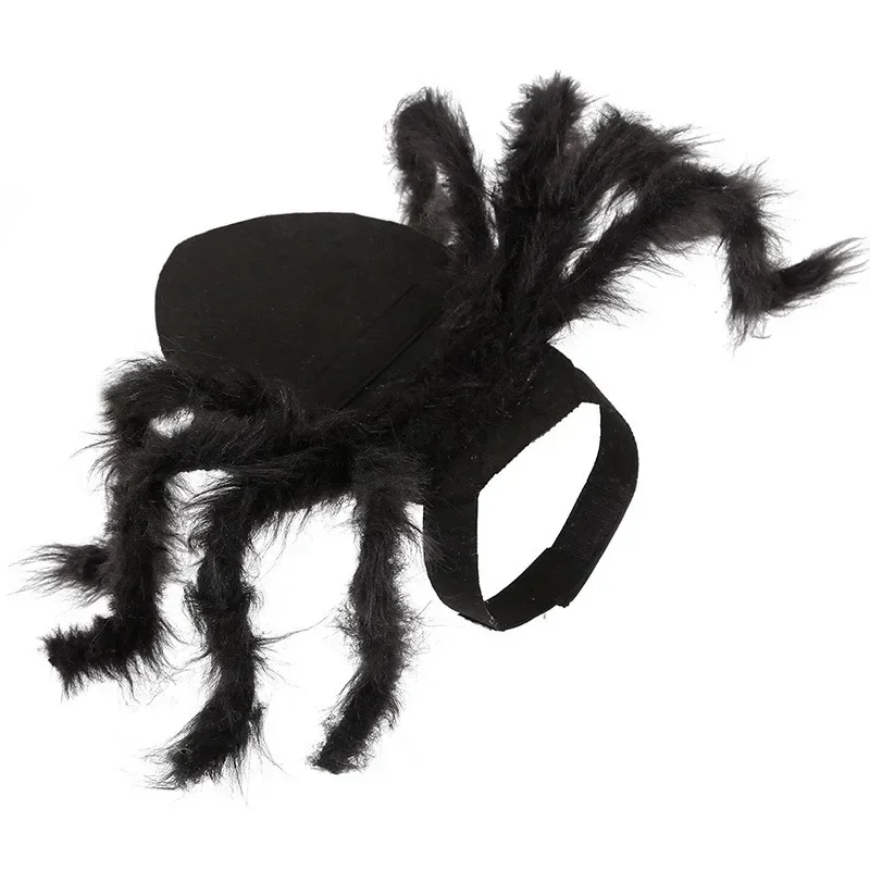 Cat wearing a Black furry spider costume