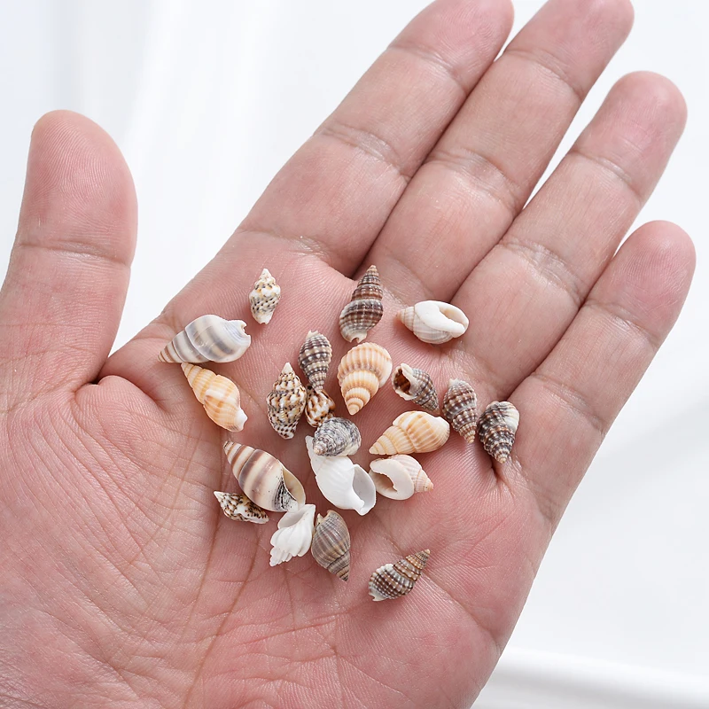 Natural Small Conch Shape Charm Shell Beads Spacer Beads For Jewelry Making DIY Fahion Necklace Bracelet Accessories natural shell ornaments