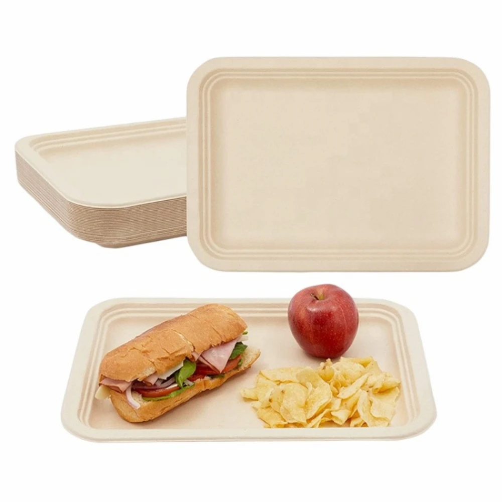 50 Pcs 14 Inch Disposable Food Trays Eco-friendly Large Paper Plates Compostable Sugarcane Filber for Party