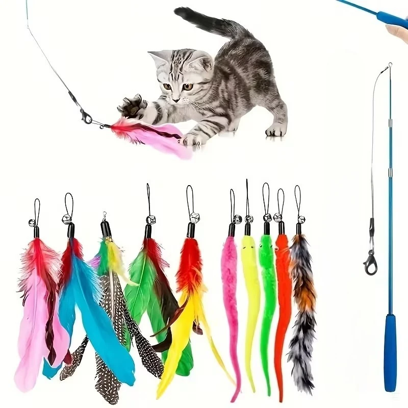 11PCS Interactive Cat Toy Set, Cat Teaser Stick, Equipped with A Replacement Head, Attracting Cats To Play with The Teaser Stick