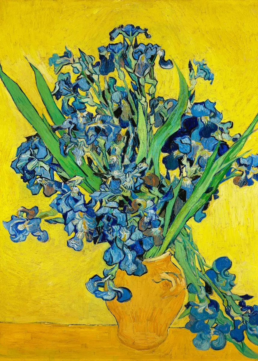 Van Gogh Canvas Art Print – Starry Sky & Irises Wall Decor Gift