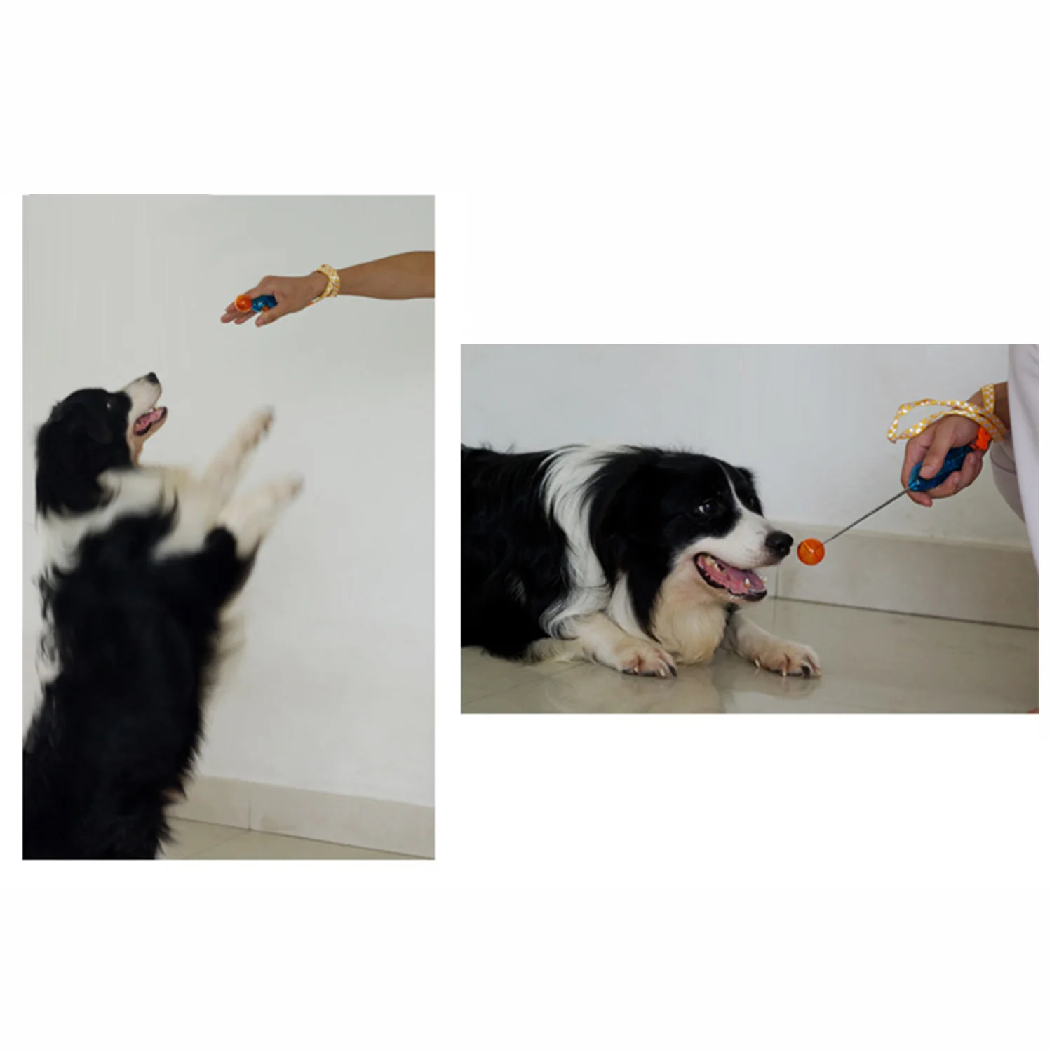 Behogar Novelty Stretchable Design Pet Dog Cat Training Clicker for Bird