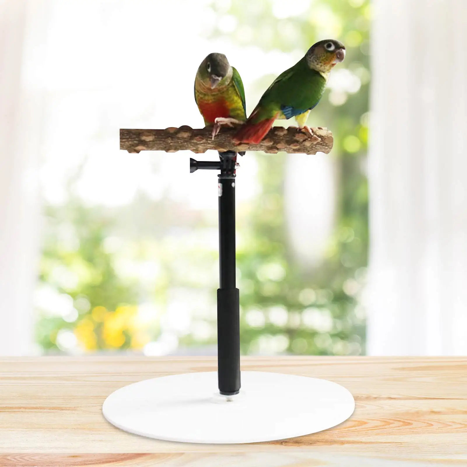 Papagaio Carrinho De Mesa De Madeira Suporte De Jogo De Mesa Para Pássaros  Ajustável Parrot Treinamento Carrinho Brinquedos Portátil Poleiro Retrátil  - Acessórios Para Pássaros - AliExpress