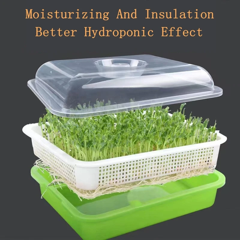 Sprout Dish Growing Pot Food PP Vegetable Hydroponic Planter Seed Sprouter Tray With Cover Home Plants Germination Nursery Tray