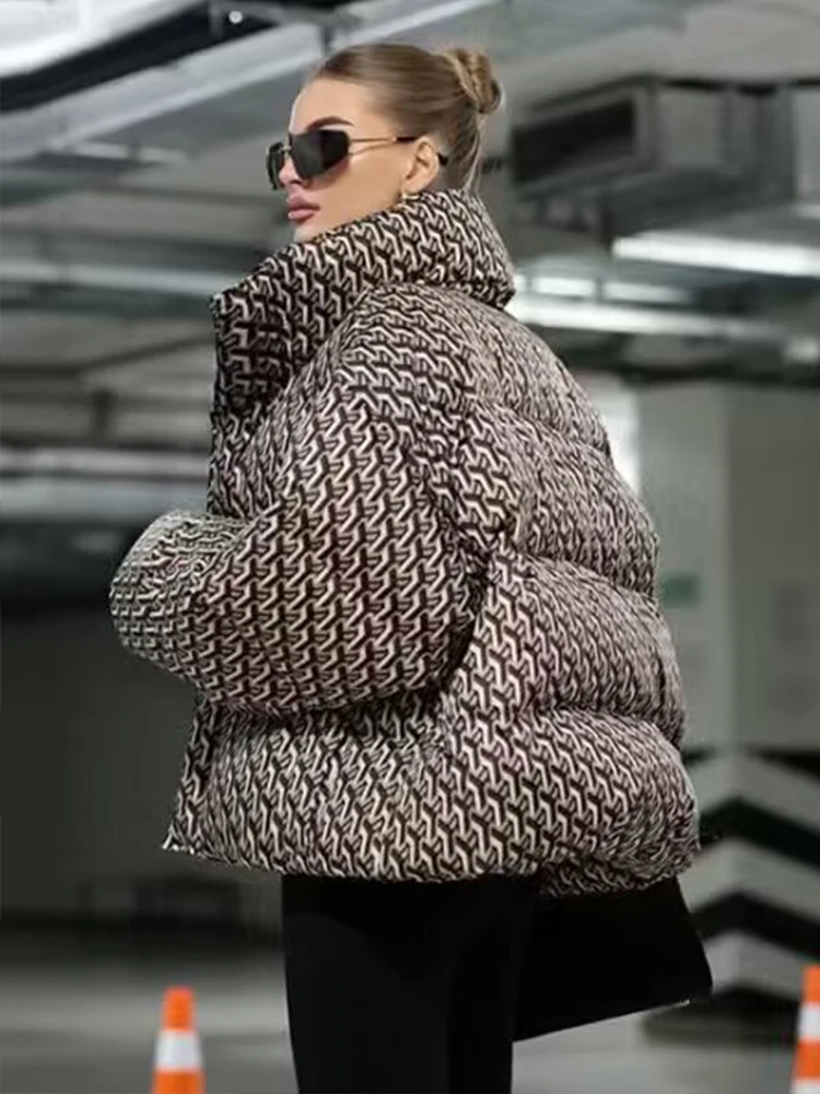 Chic Casual Women Winter Jacket Zipper Stand Collar Long Sleeve Female Short Parka Coats 2025 Streetwear New Outerwear ﻿ ﻿