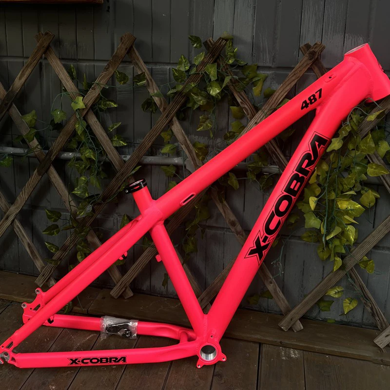 Telaio MTB Racetrack In Lega Hardtail – Passaggio Cavi Interno – Ruote 26/27.5 – 16 Pollici - Foto 2