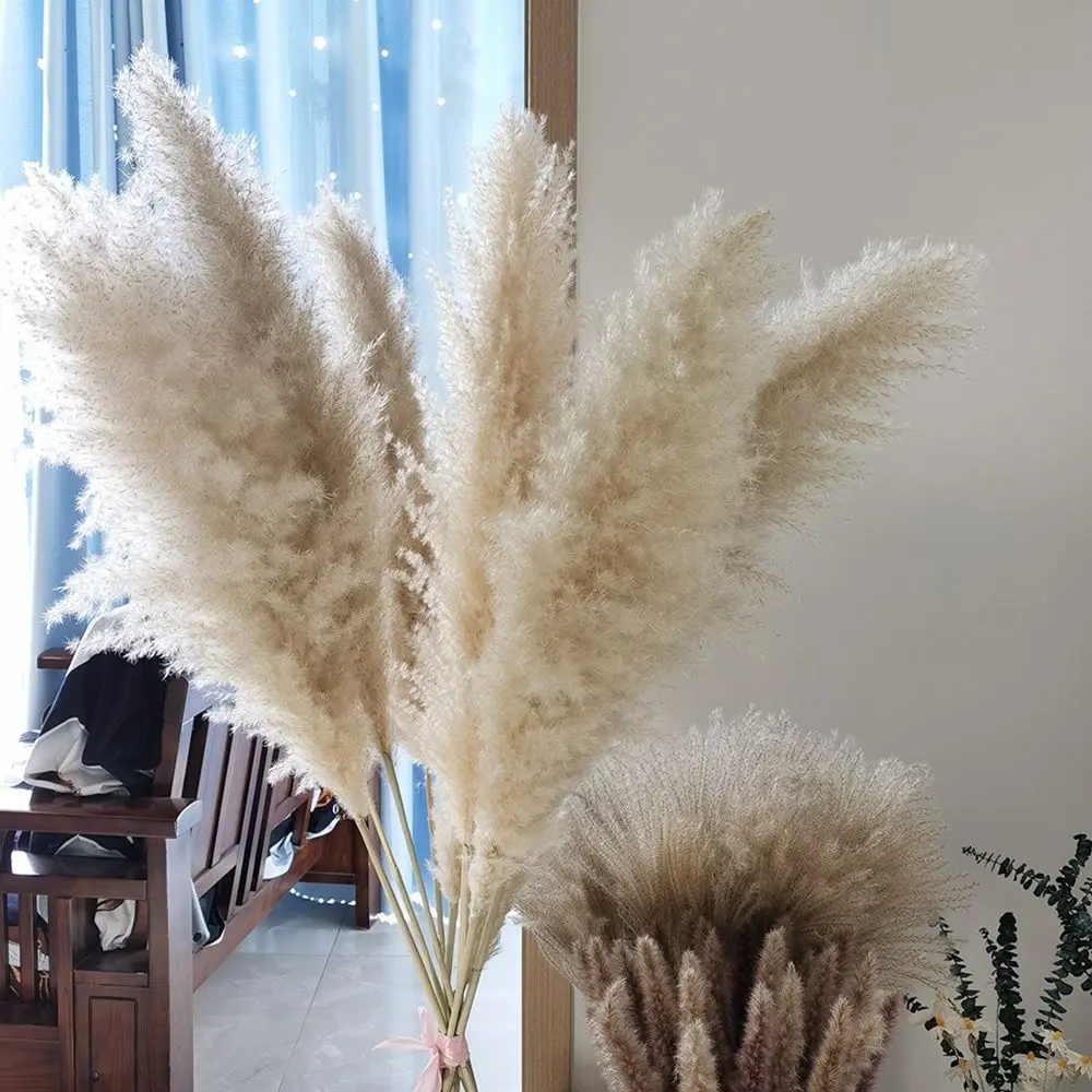 

80cm Pampas Grass Branches for Vase Fluffy Dried Flower Arrangement Decoration for Wedding Natural Dried Plants Flowers Bouquet