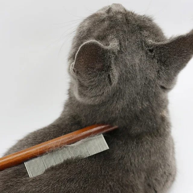 Cat Comb Cat Comb Brush Long Hair Cat Needle Comb Open Knots To Remove Floating Hair Accessories Pet Clraning Supplies 4
