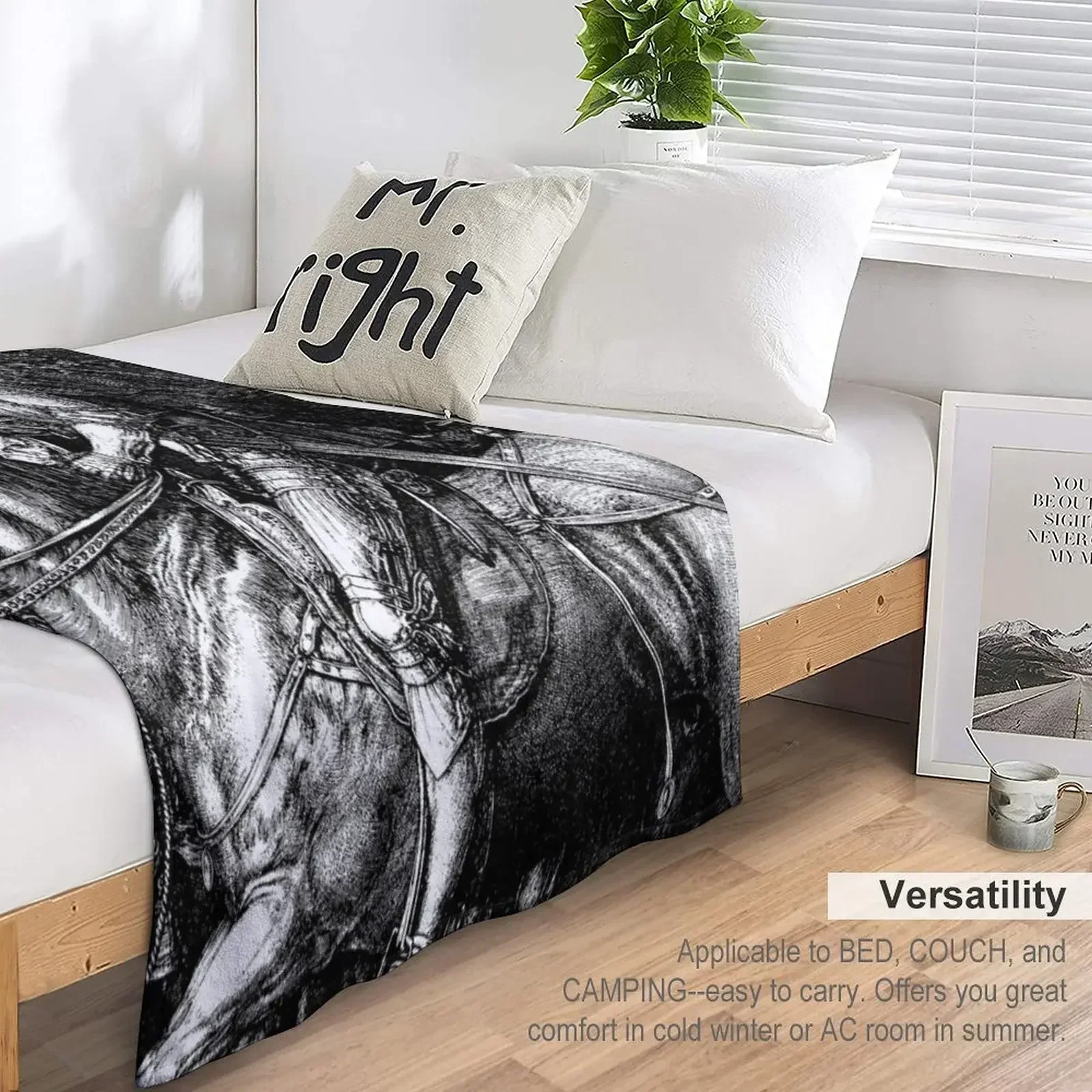 Knight, Death and the Devil - Albrecht Durer Throw Blanket For Decorative Sofa Large Shaggy Bed Blankets 5