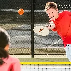 pickleball set with net