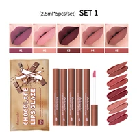 5 Pcs Chocolate Lip Matte Glaze Lipstick Moisturizing Lip Gloss Waterproof Lip Glaze Set Mist  Matte Lip Matte 1