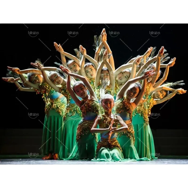 

Детские танцевальные костюмы дай Павлин, танцевальная одежда, маленькая юбка рыбий хвост для девочек, платье с павлиньими блестками для танцев