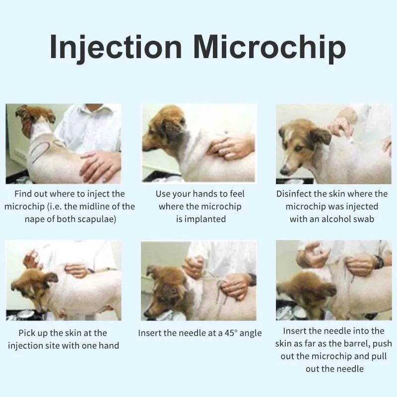 Free Microchip Register My Dogs Chip MicrochipIDFortheAnimalWorld