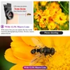 2in1 Fisheye Wide Angle Micro Camera Lens for iPhone Xiaomi Redmi 2IN1 Zoom Fish Eye Len on Smartphone Lenses with Phone Clip 2 2in1 Fisheye Wide Angle Micro Camera Lens for iPhone Xiaomi Redmi 2IN1 Zoom Fish Eye Len on Smartphone Lenses with Phone Clip 2