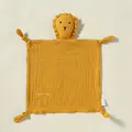Image 21