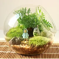 Creative Clear Glass Ball Vase Glass Bauble Balls Micro Landscape Air Plant Terrarium Succulent Hanging Flowerpot Container
