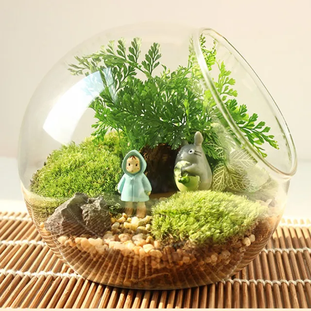 Creative Clear Glass Ball Vase Glass Bauble Balls Micro Landscape Air Plant Terrarium Succulent Hanging Flowerpot Container