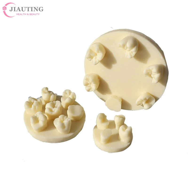 1PCS 레진 치아 형태학 연습 모델 치근관 충전 인레이 레진 모듈 치과 교육 훈련용 레진 모델 도구