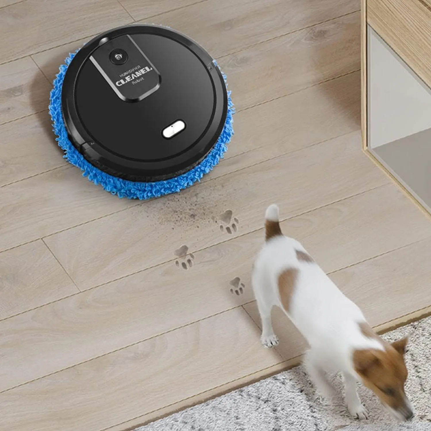 Robot Vacuum Cleaner,Intelligent Vacuum Cleaner with Wiping Function, Smart Dynamic Navigation for Pet Hair, Floors, Hard Floors 2