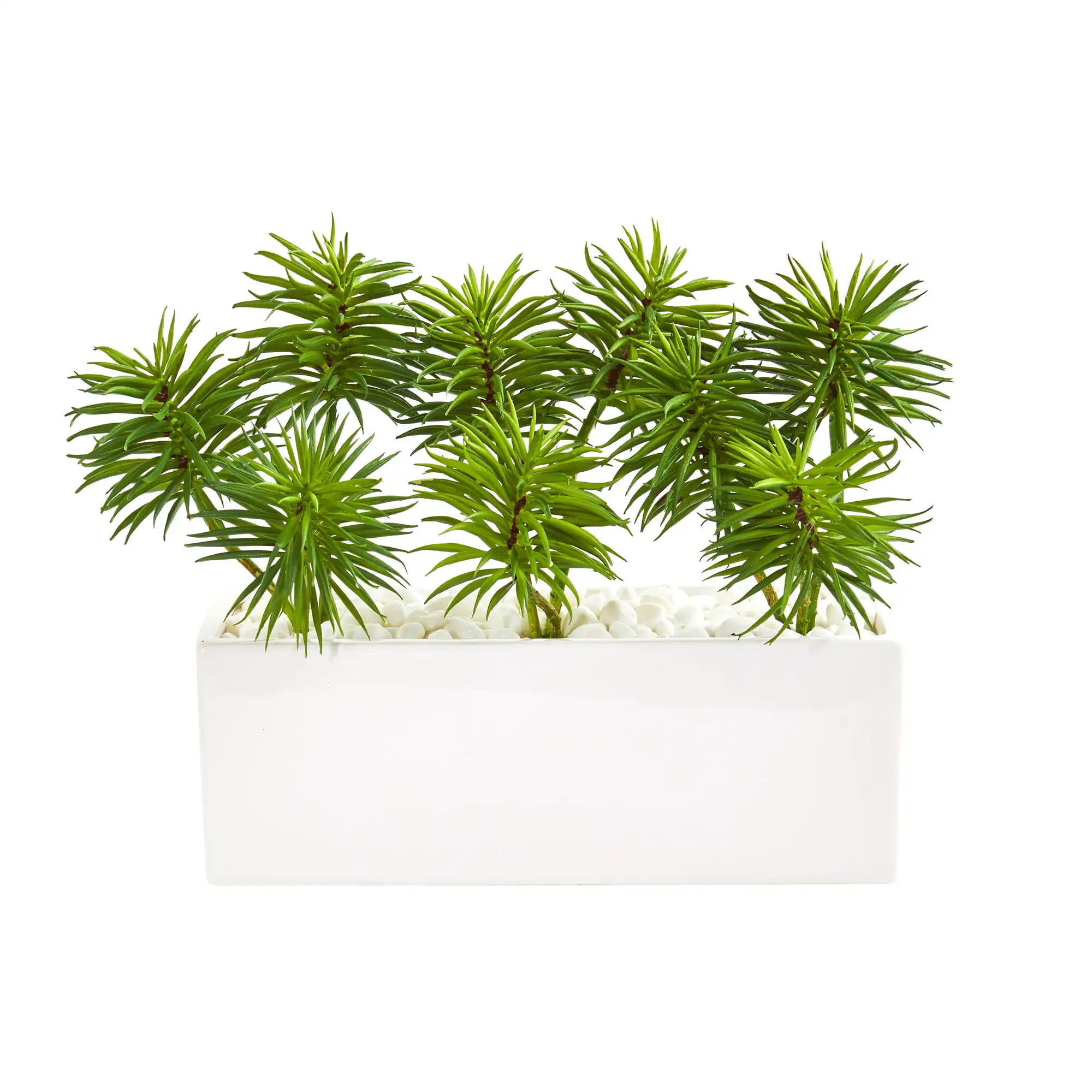 

10" Spiky Succulent Garden Artificial Plant in Ceramic Vase, Green