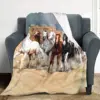 Horse Blankets 3