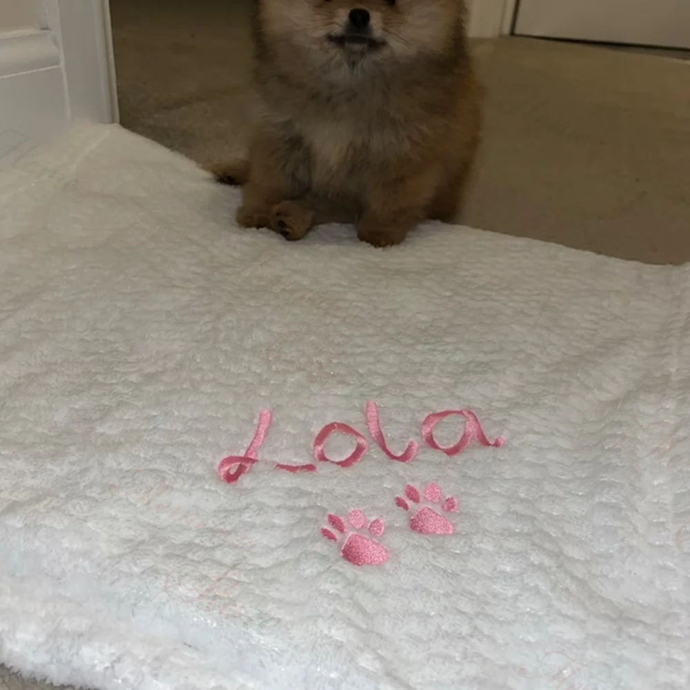 Personalized Embroidery Solid Color Soft Pet Blanket Custom Name Dog Flannel Blanket Pets Gift Blanket Puppy Blanket with Name 5