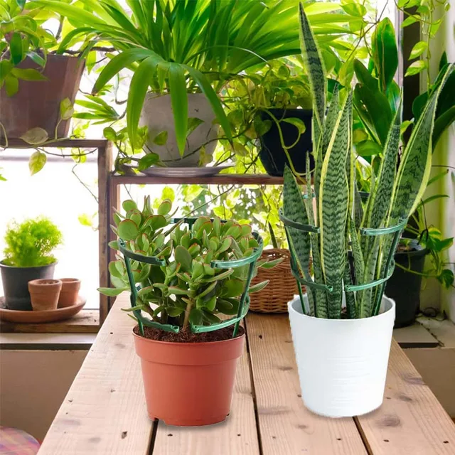 2/4 db Növényi Tartóhalom Halom Keret Üvegházhatású Virág Zöldségek Állvány Rögzített Rúd Szőlő Mászó Konzol Kerti Készletek - Image 5