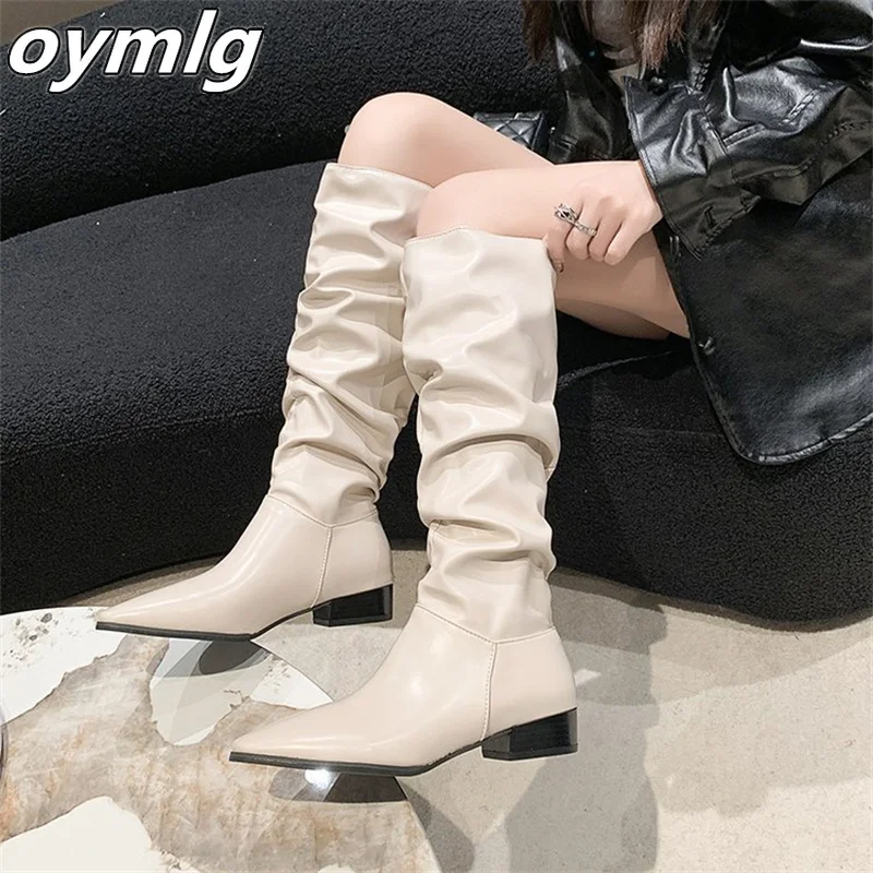 Pointed Pleated High Barrel Long Boots for Women's Autumn 2023 New Fashion Boot