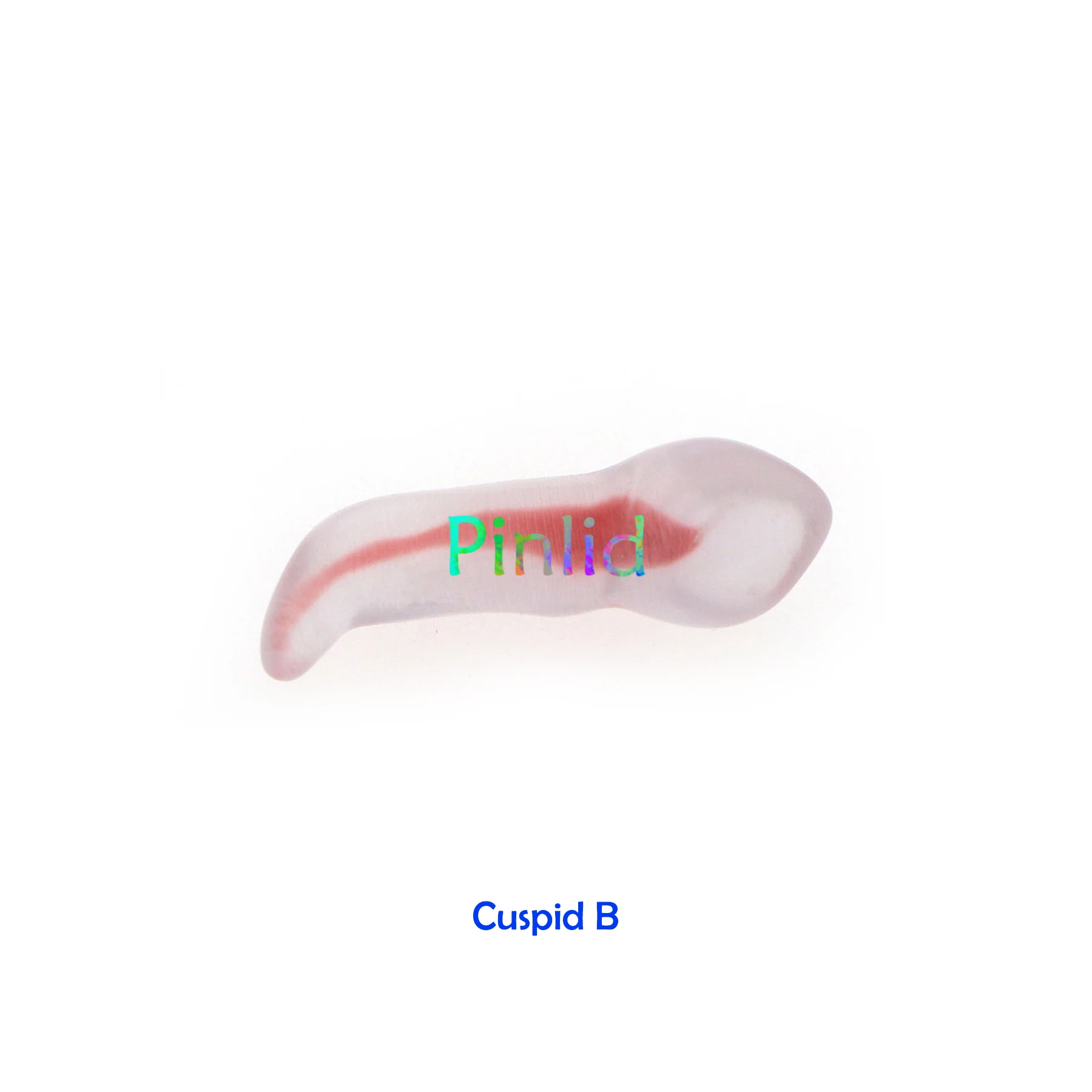 Dental RCT Endo Training Teeth Model 3D Curved Root Resin 12 Size 1:1 Endodontic Education Cavity 5