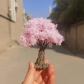CherryA 10cm