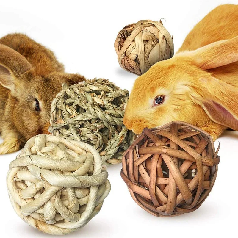 Small Animal Chew Toys 5