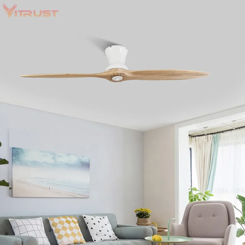 Two-Blade Indoor Ceiling Fan Dimmable with LED Light Kit For home use 60 inch Ceiling fan, led ceiling fan lights